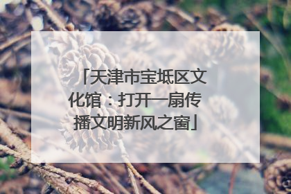 天津市宝坻区文化馆：打开一扇传播文明新风之窗